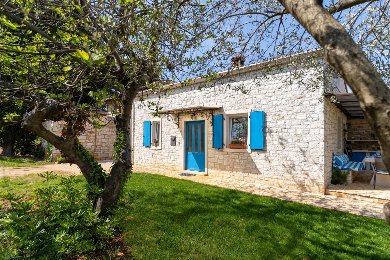 Villa Daulos Novigrad Istria Kültér fotó