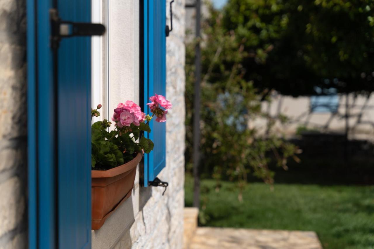 Villa Daulos Novigrad Istria Kültér fotó