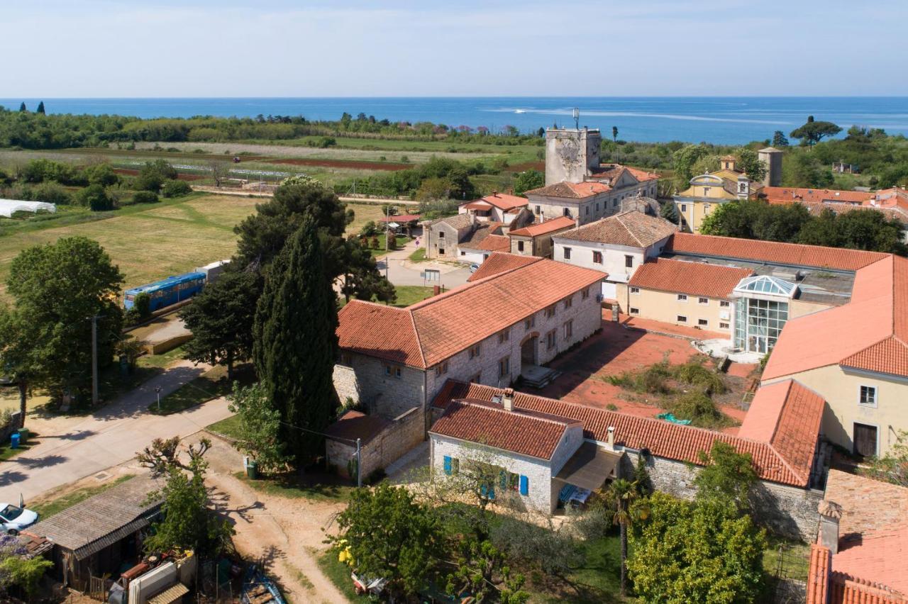 Villa Daulos Novigrad Istria Kültér fotó