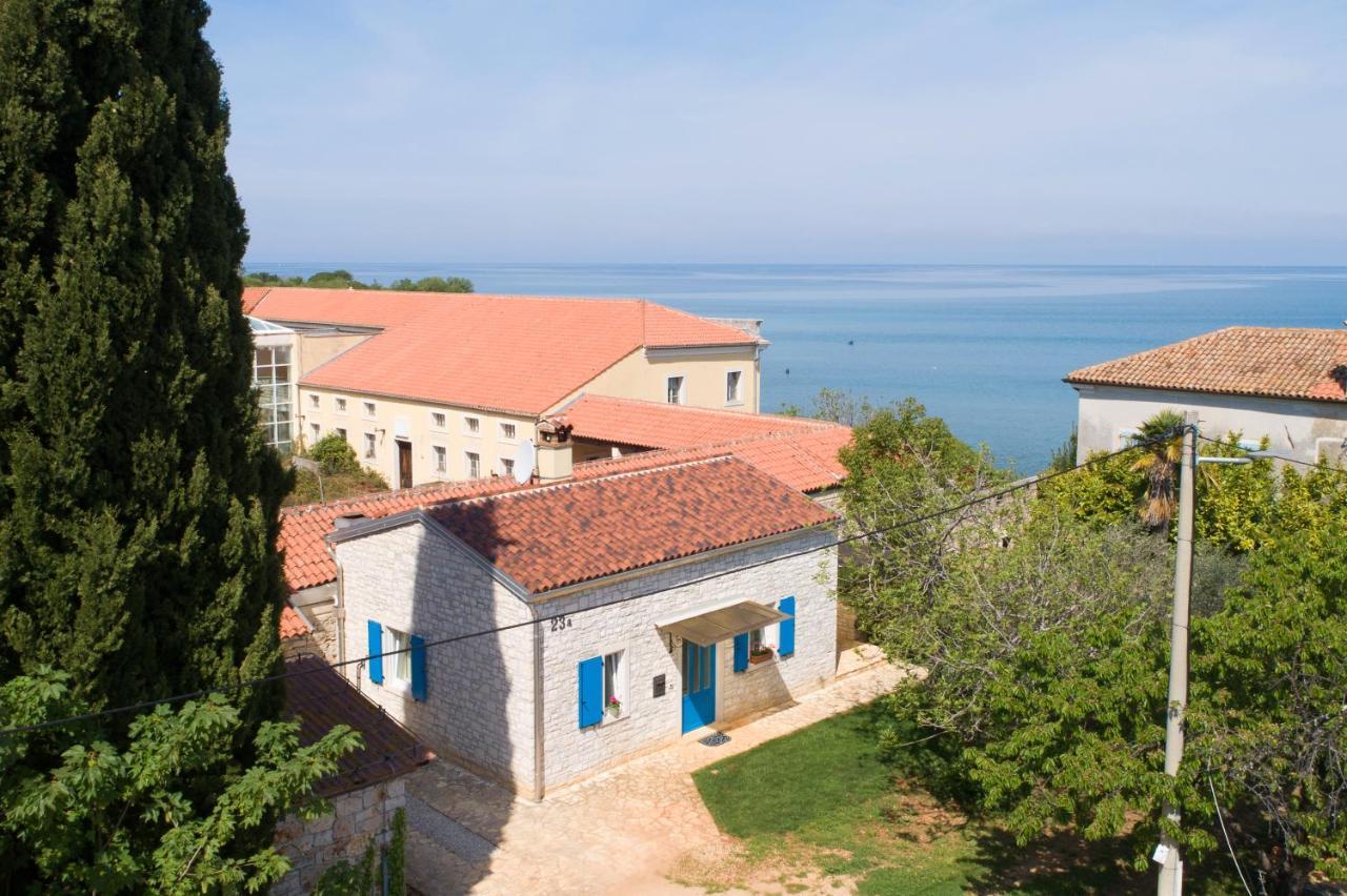 Villa Daulos Novigrad Istria Kültér fotó